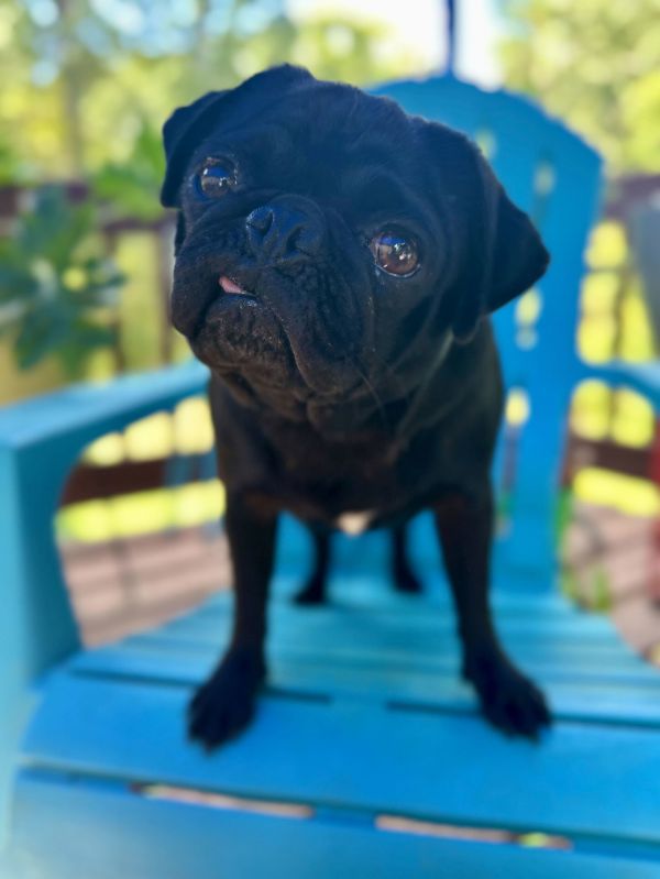 Wednesday Mar thumbnail 3