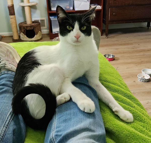 Bearbonded thumbnail 2