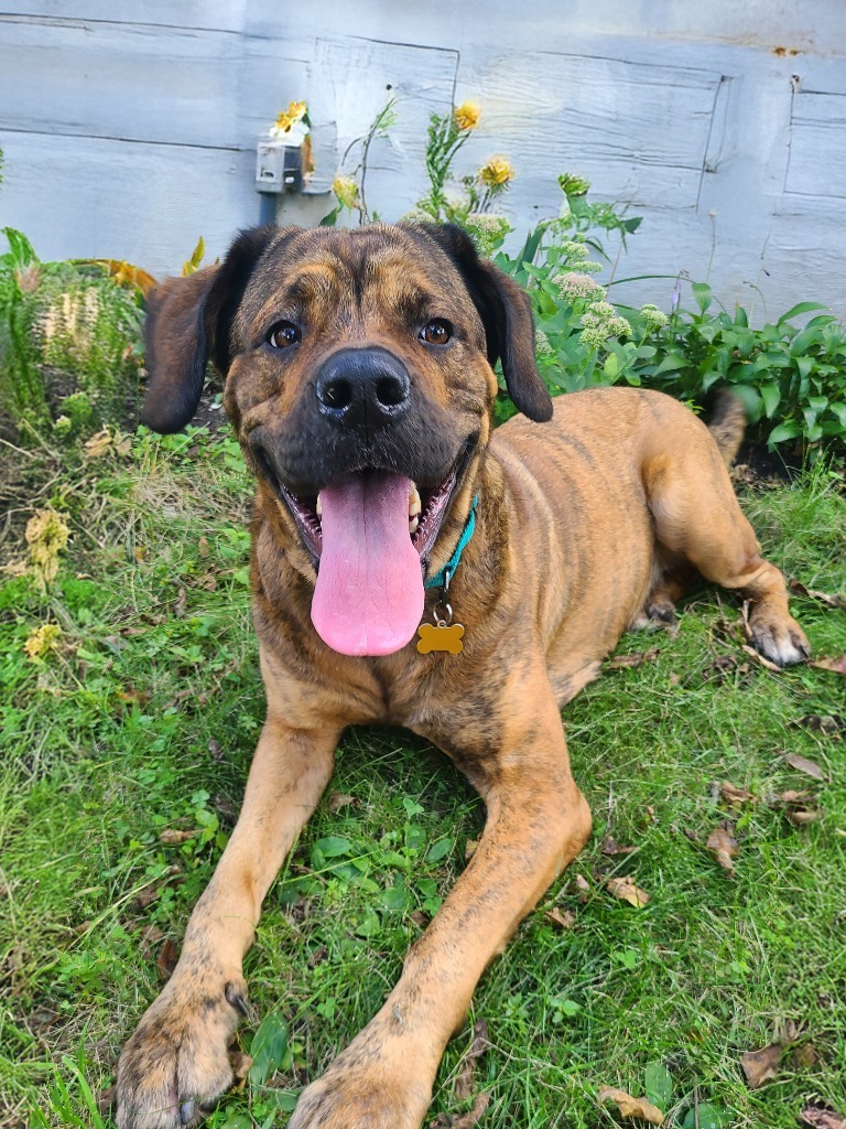 Luna
