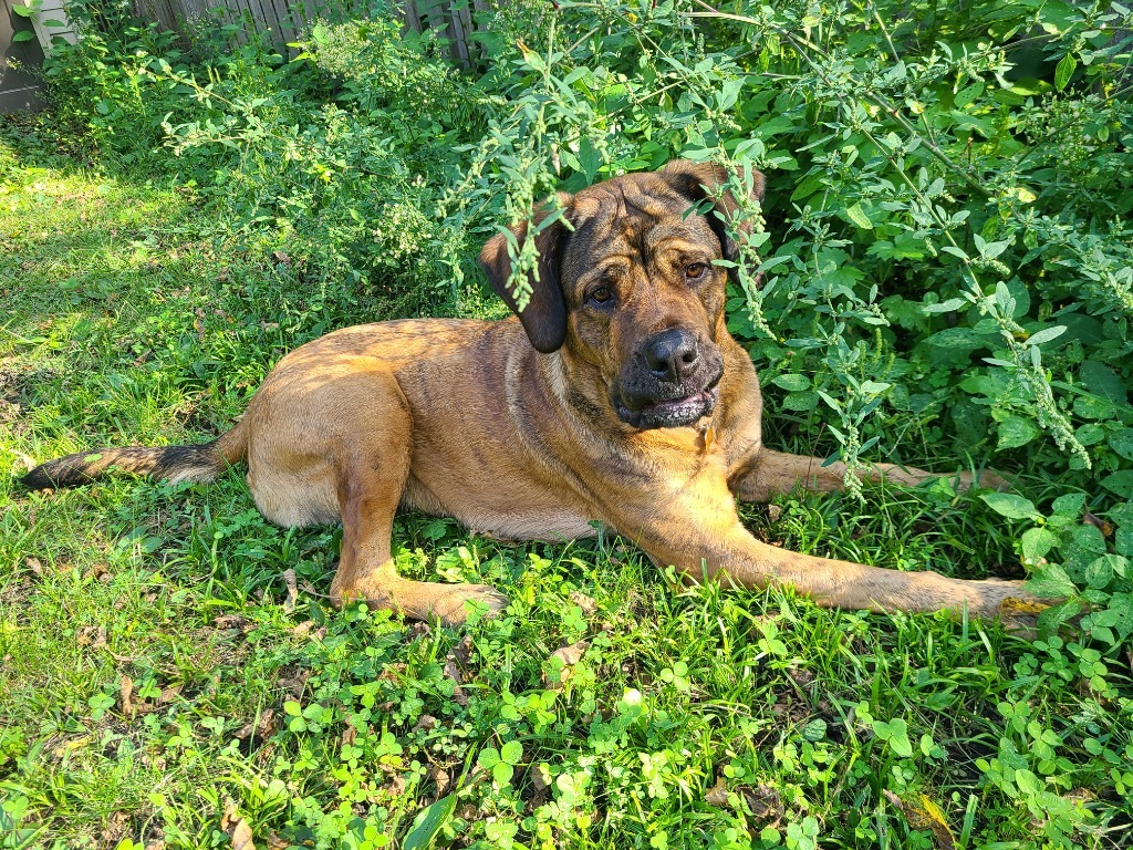 Luna