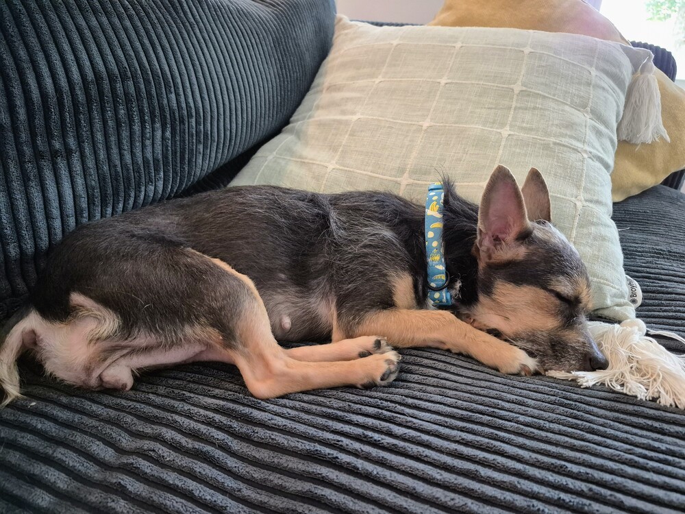 Pixie