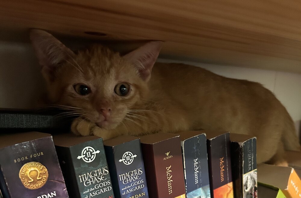 Artemis