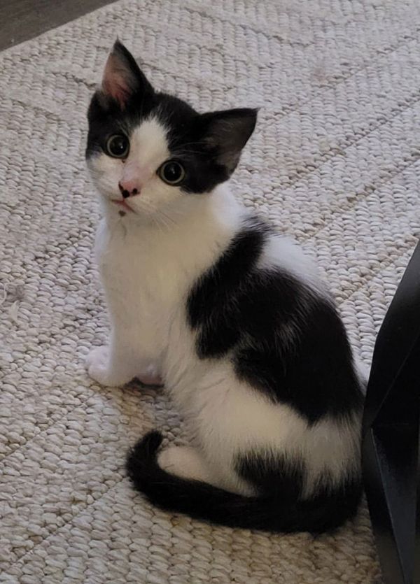 Pepsi Special Needs photo 1