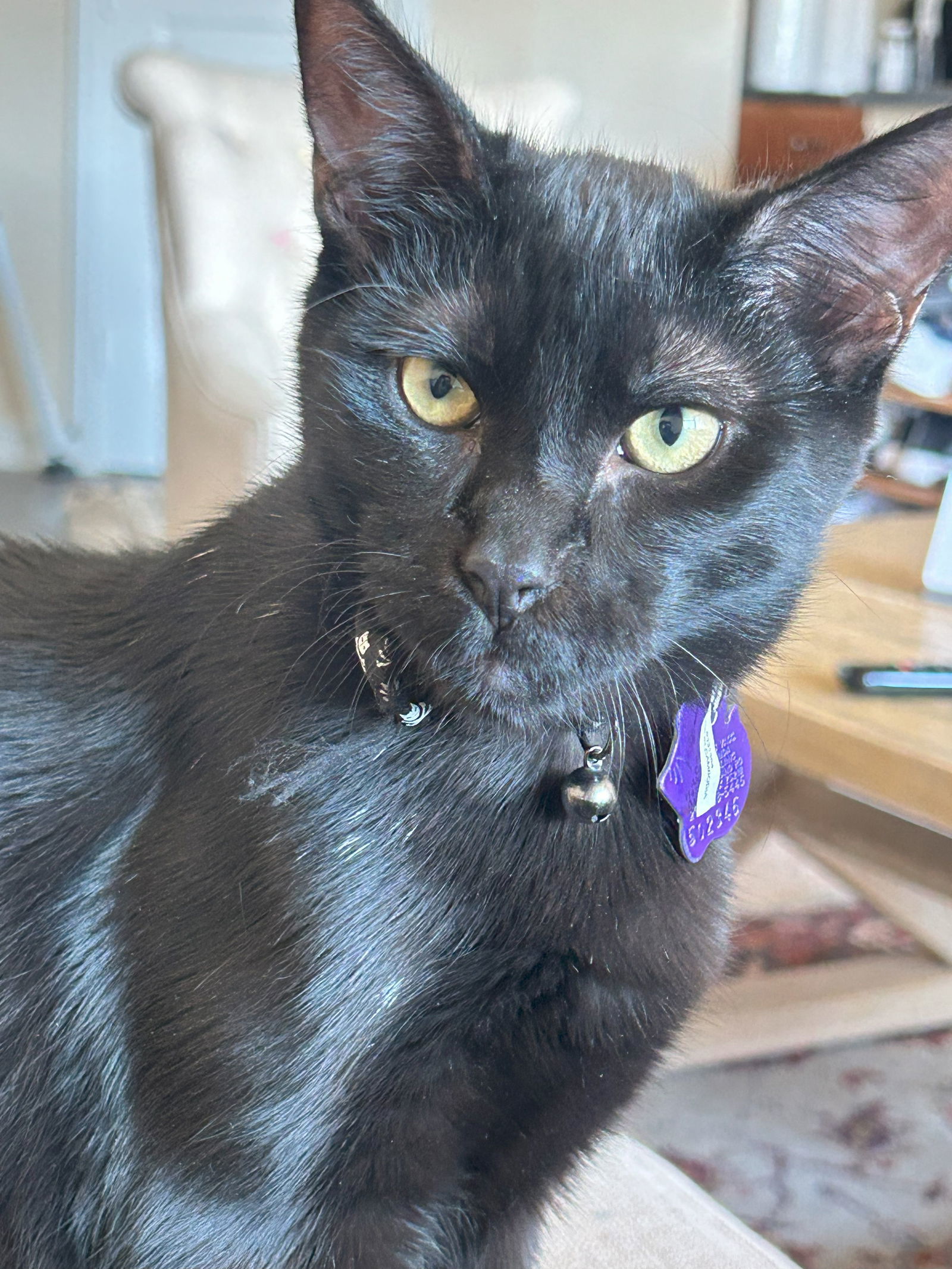 Batman IV (New Digs)