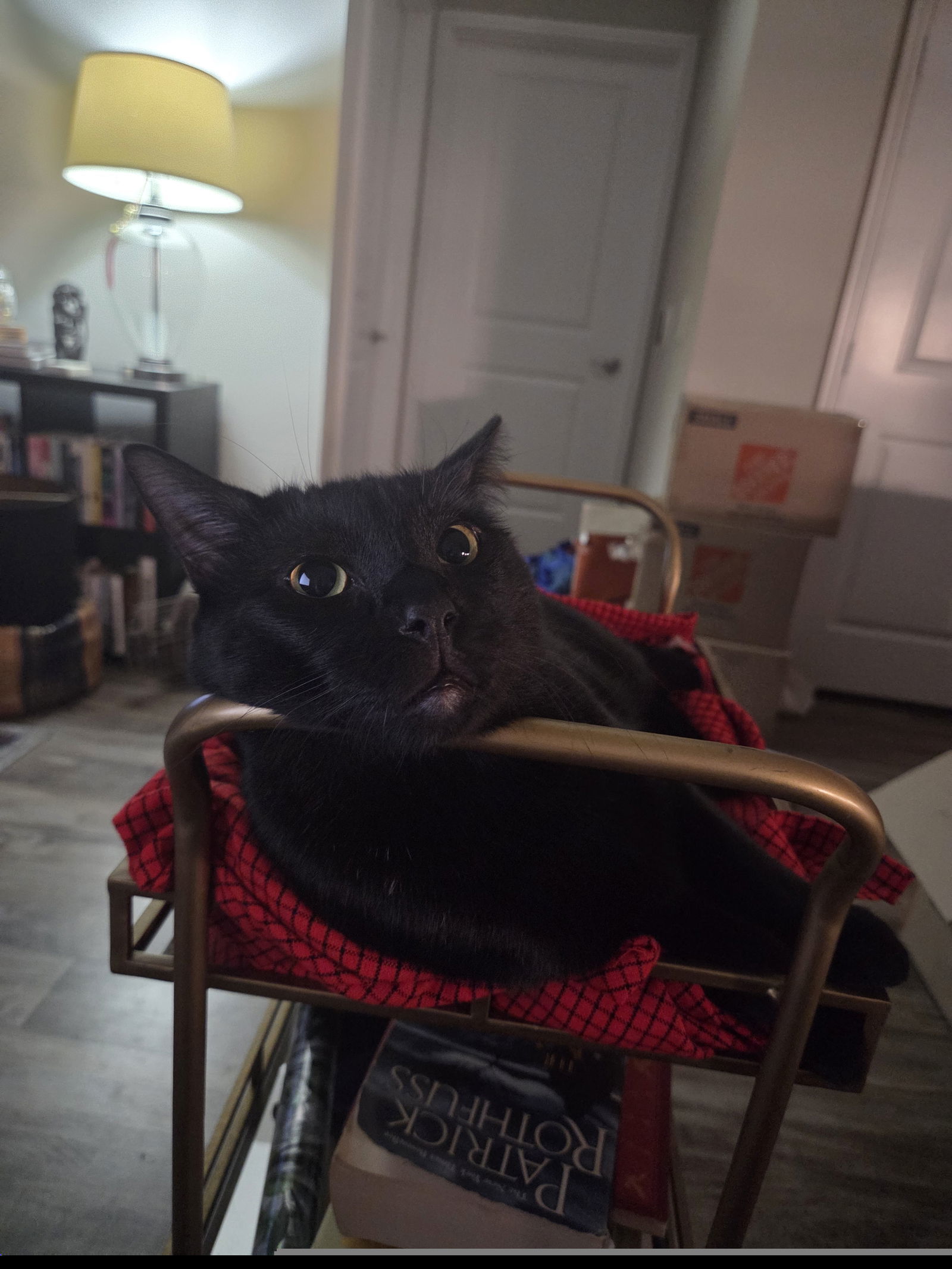 Batman IV (New Digs)