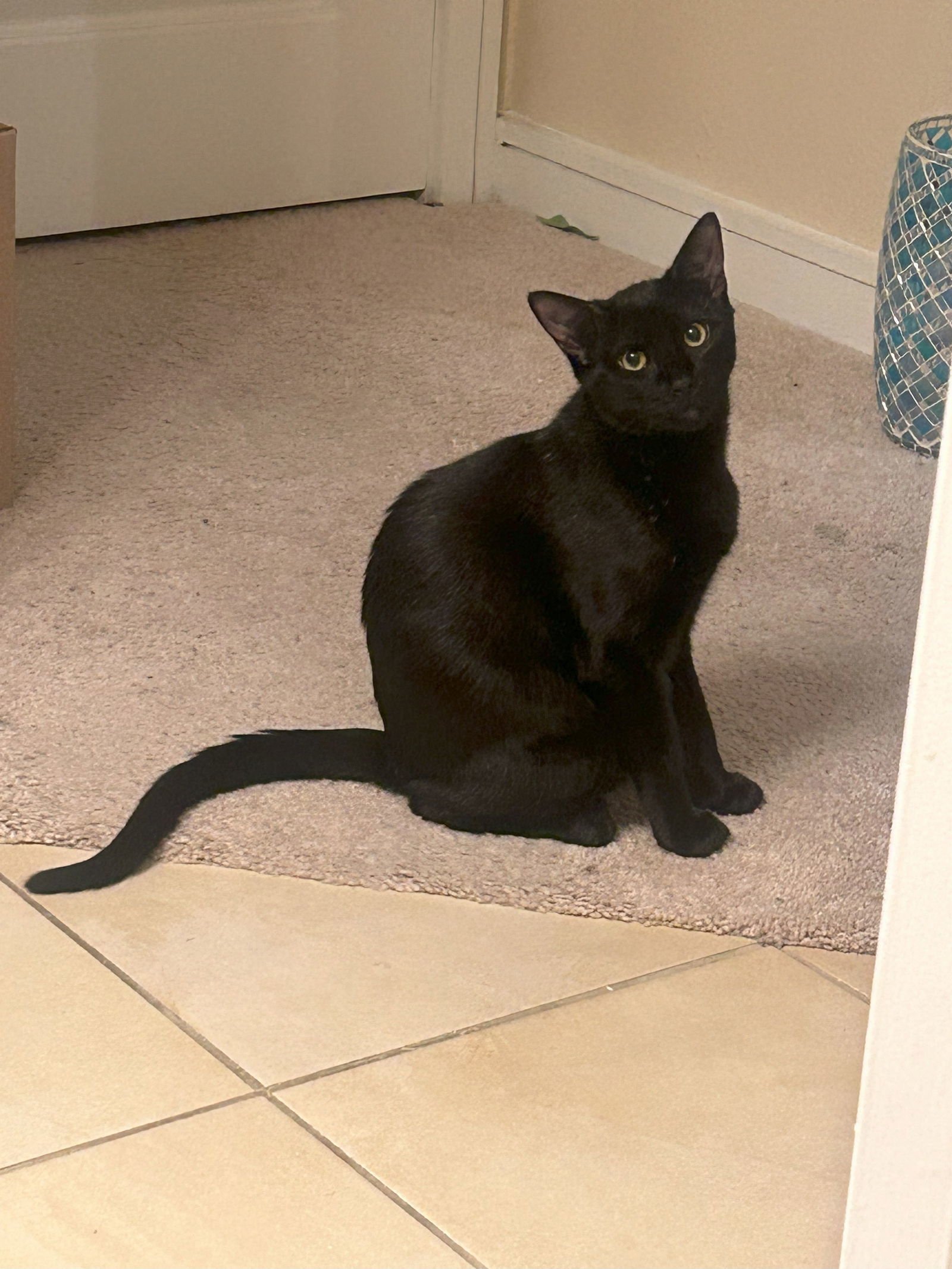 Batman IV (New Digs)