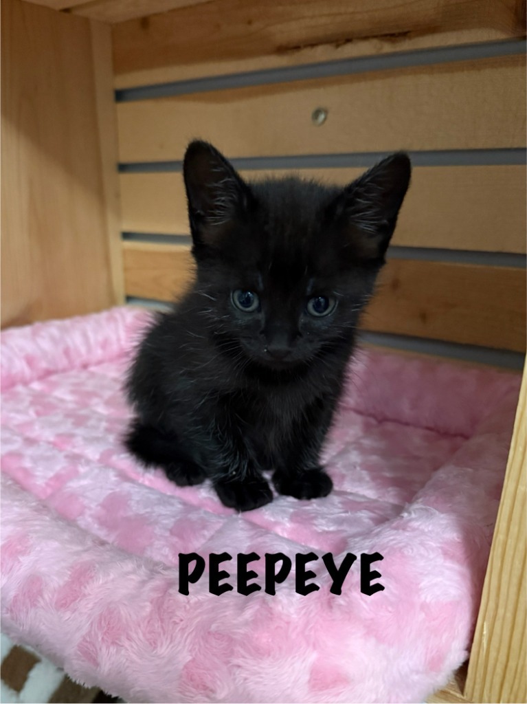 Peepeye