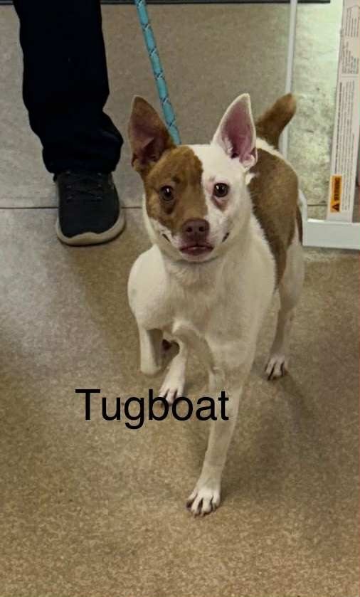 Tugboat thumbnail 2