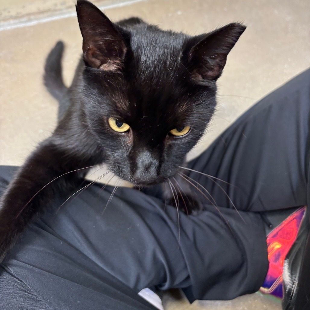 Binks
