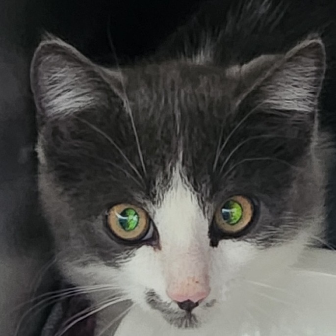 Dakota is at Petsmart GJ