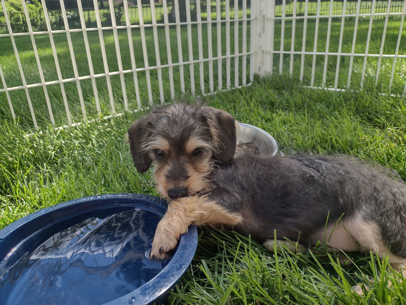 Axel