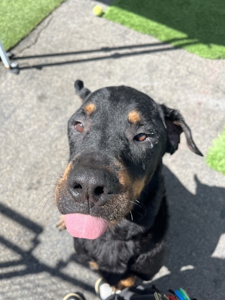 Zeus