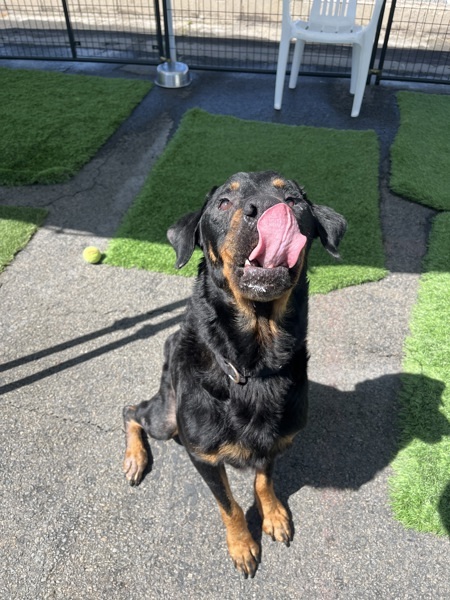 Zeus