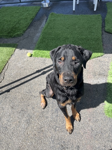 Zeus
