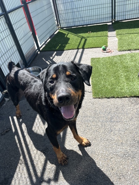 Zeus