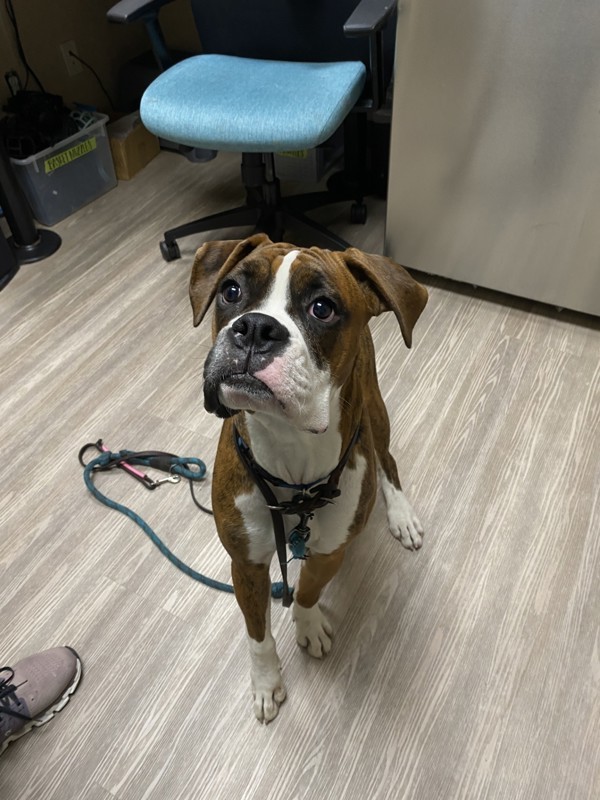 Tyson