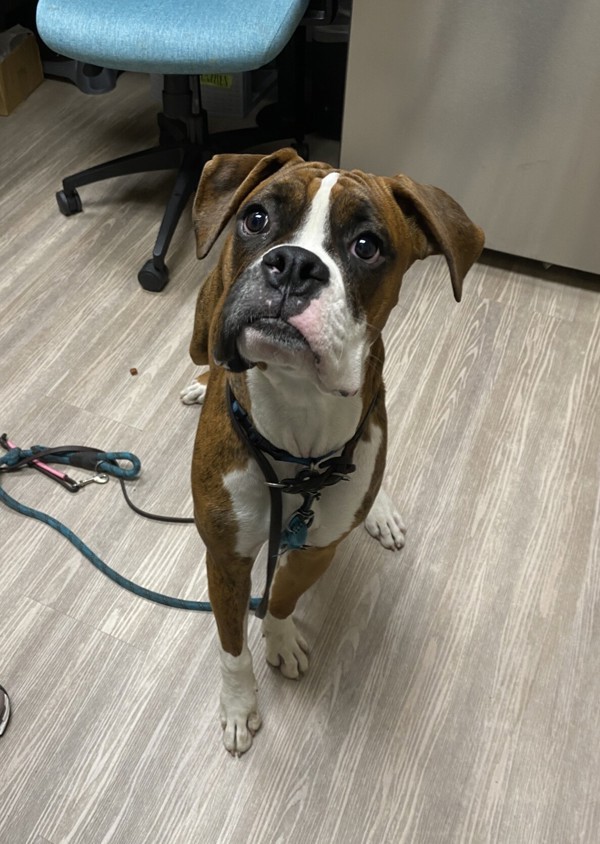 Tyson