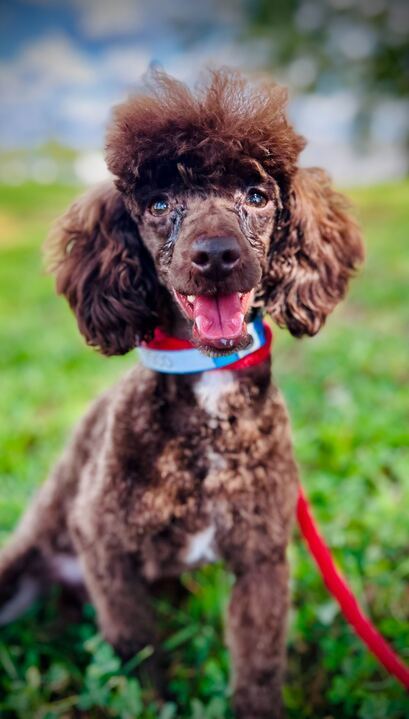 Coco Sep thumbnail 2