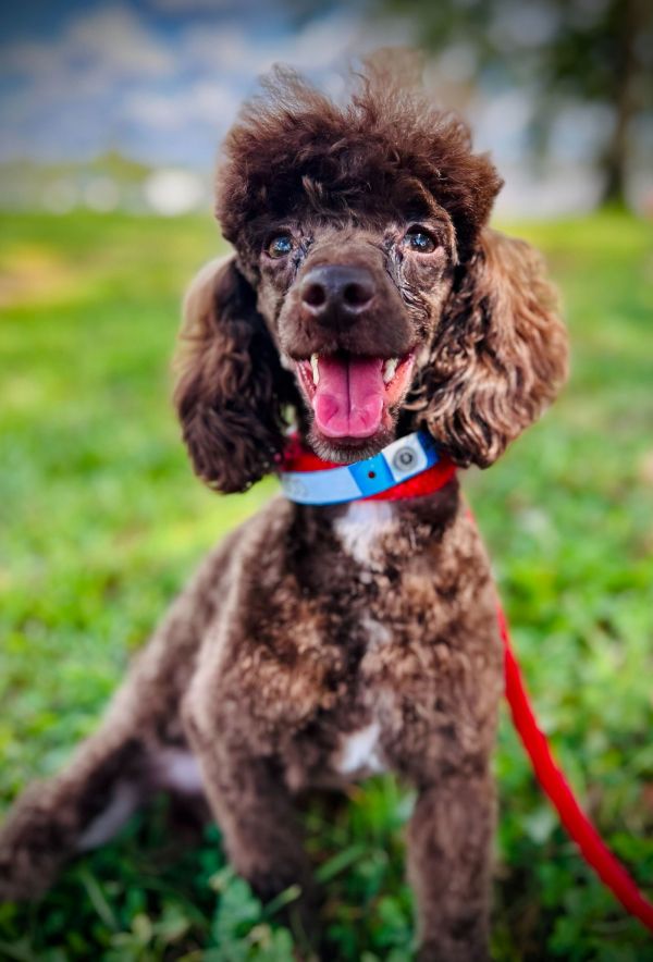 Coco Sep thumbnail 3