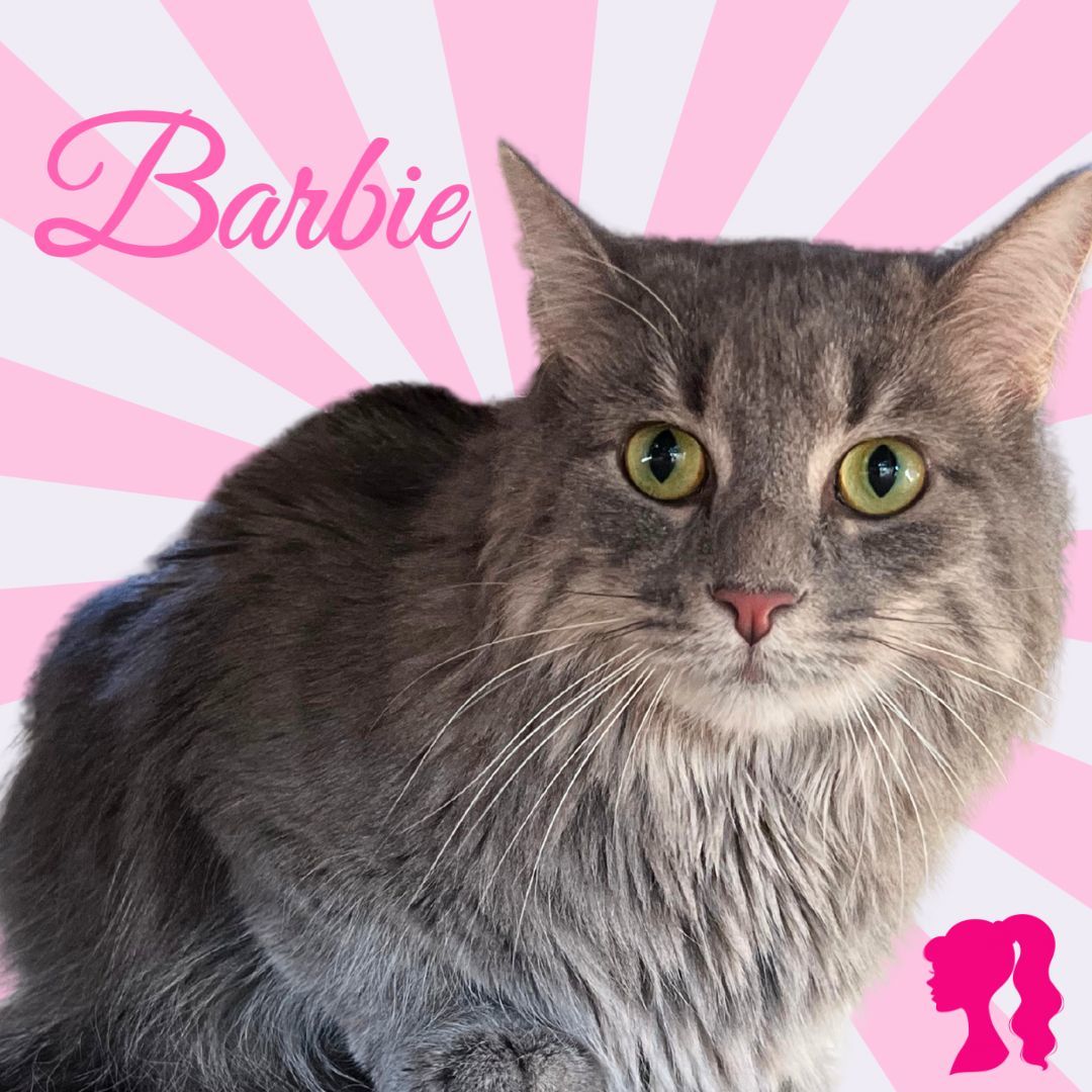 Barbie
