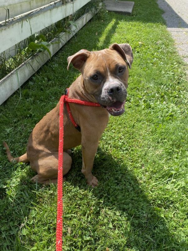 Marty Mcfly thumbnail 2