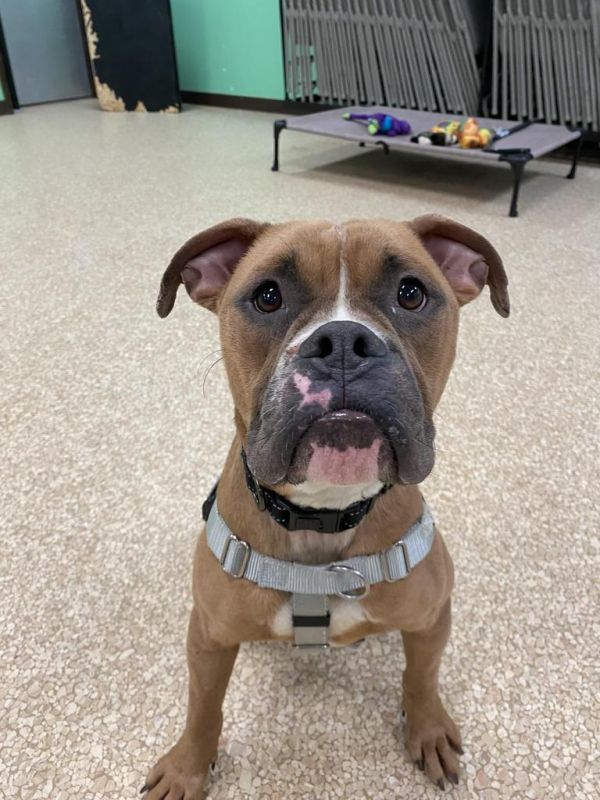 Marty Mcfly thumbnail 3