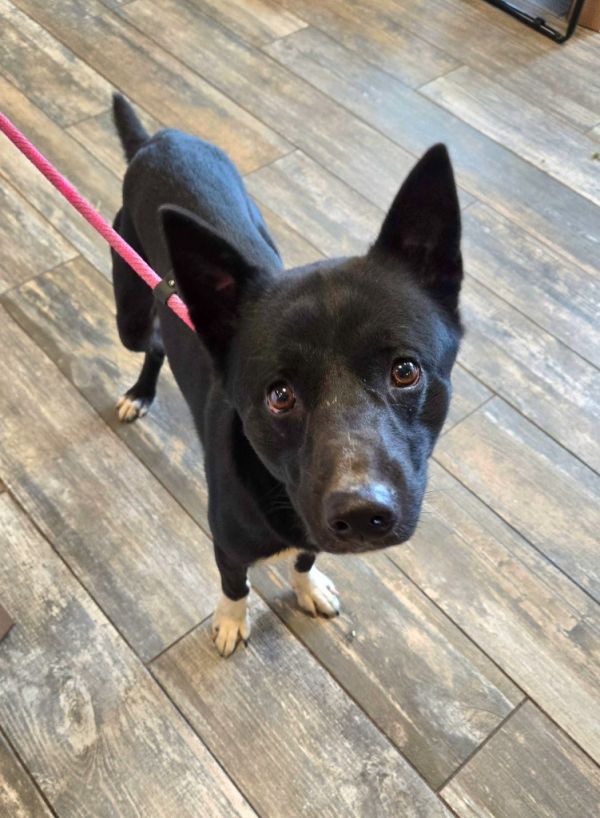 Dennis Yrly thumbnail 2