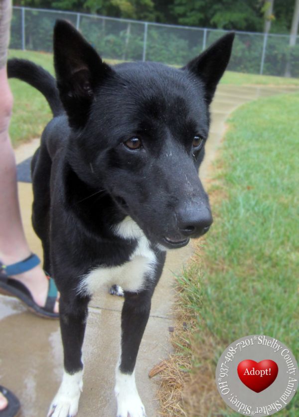 Dennis Yrly thumbnail 3