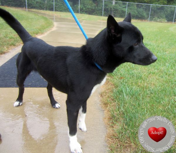 Dennis Yrly thumbnail 4