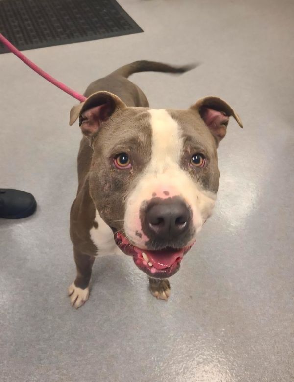 Jaron Yrly thumbnail 2