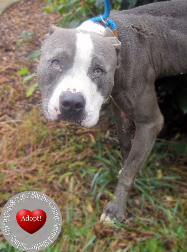 Jaron Yrly thumbnail 4