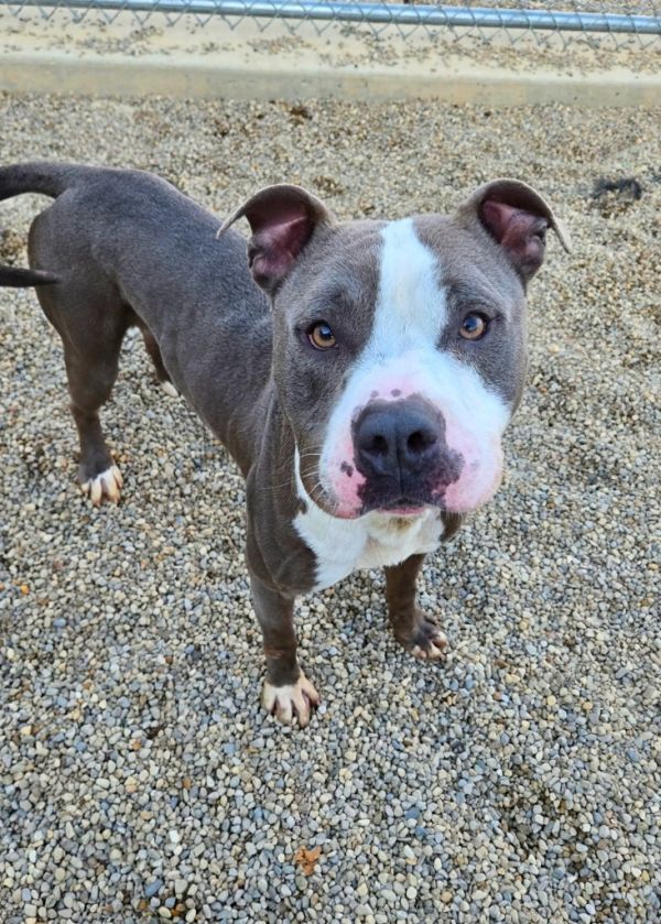 Jaron Yrly thumbnail 5