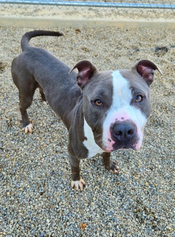 Jaron Yrly thumbnail 6