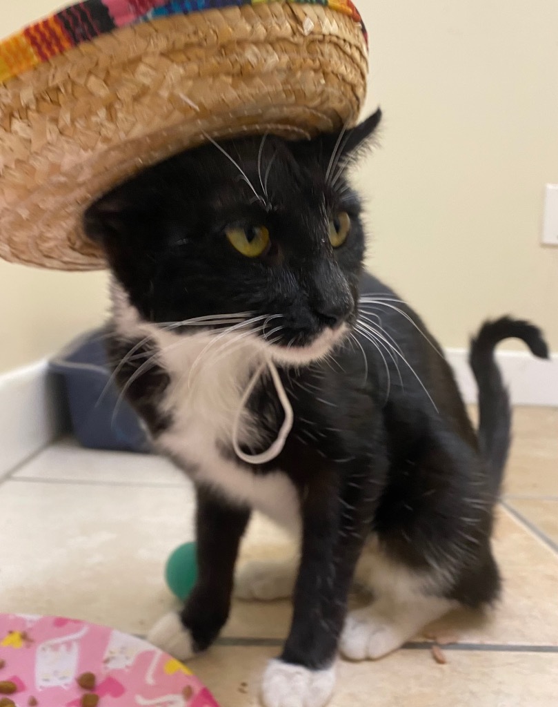 Pinata