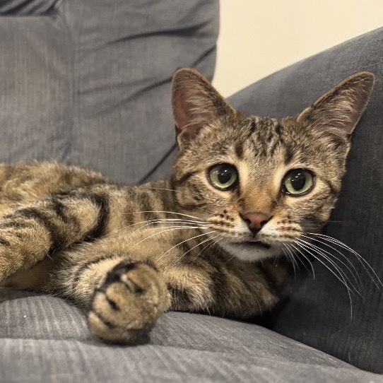 Hilary Swanson photo 1