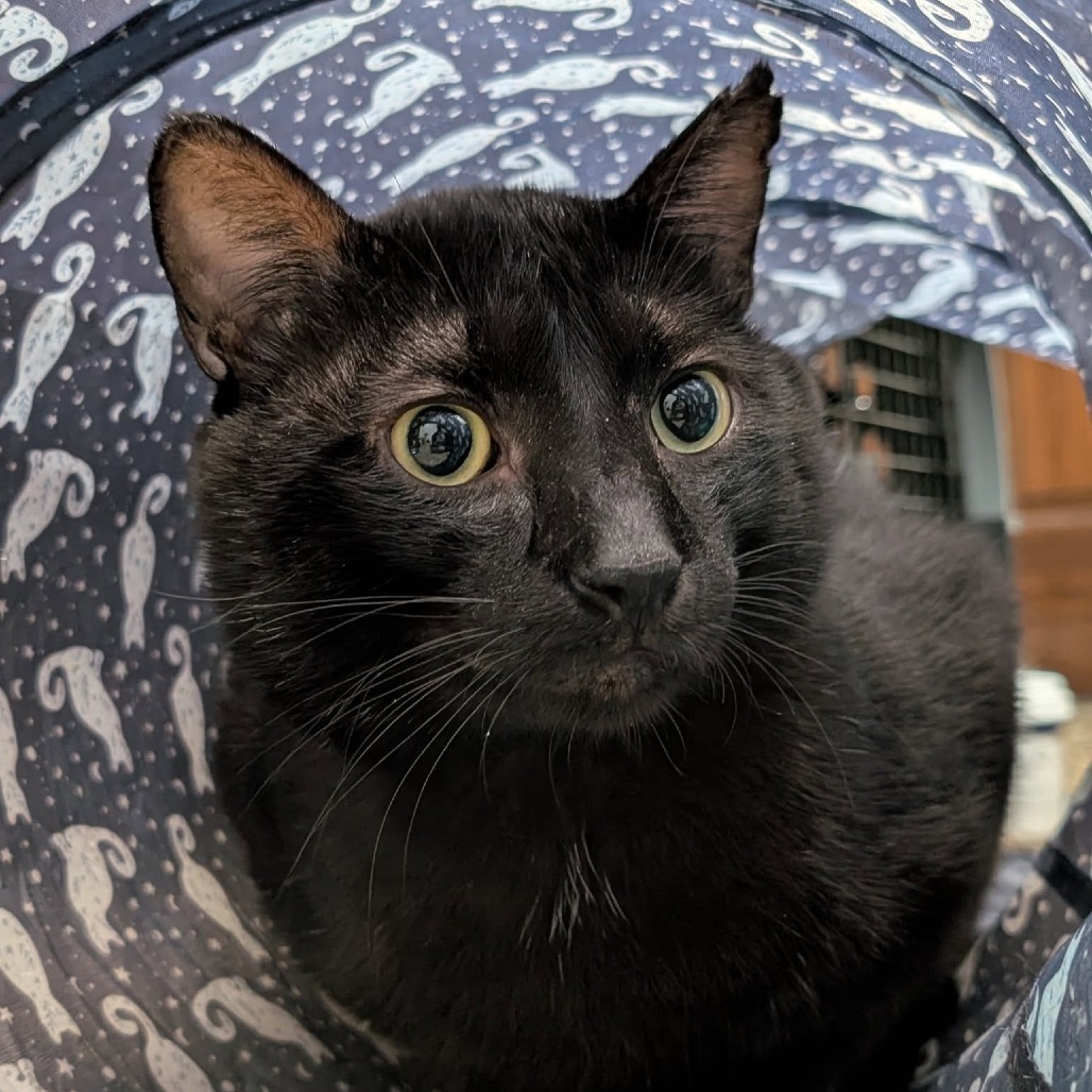 Biff--In Foster