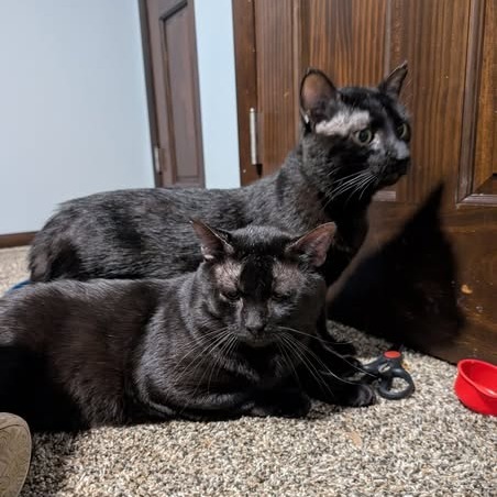 Biff--In Foster