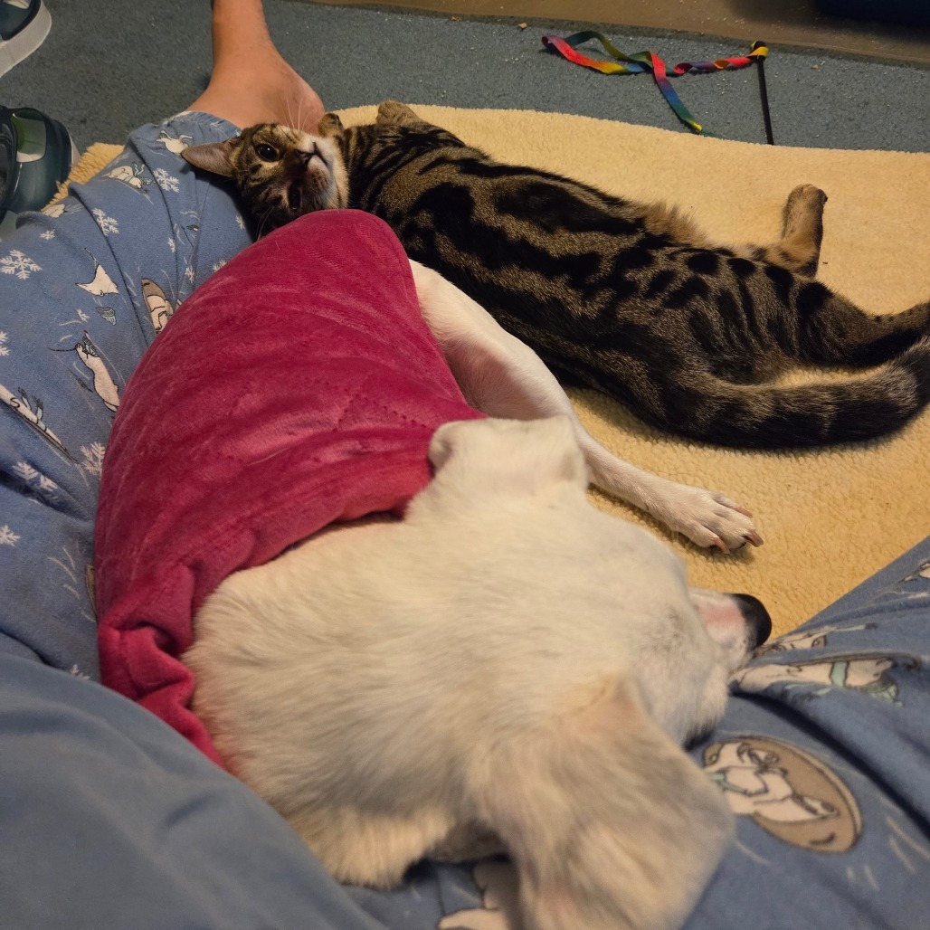 Lavender (paired w/Honeysuckle)