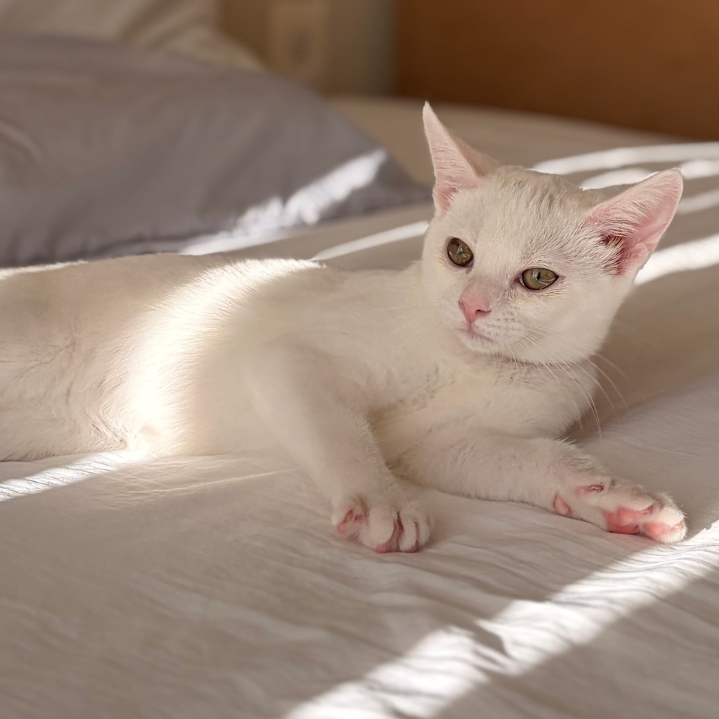 Charlotte & Babies - Jane (Austen)