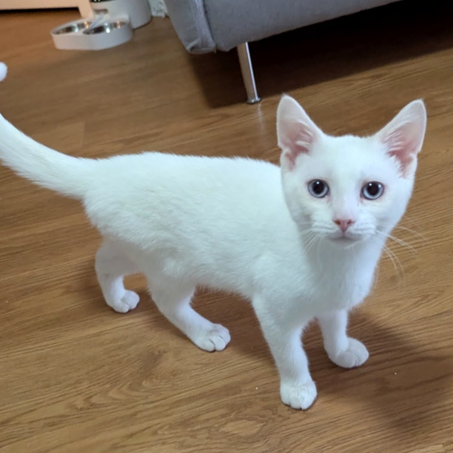 Charlotte & Babies - Ernest (Hemingway)