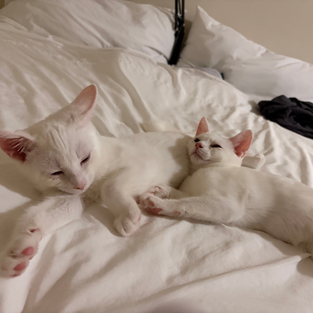 Charlotte & Babies - Ernest (Hemingway)