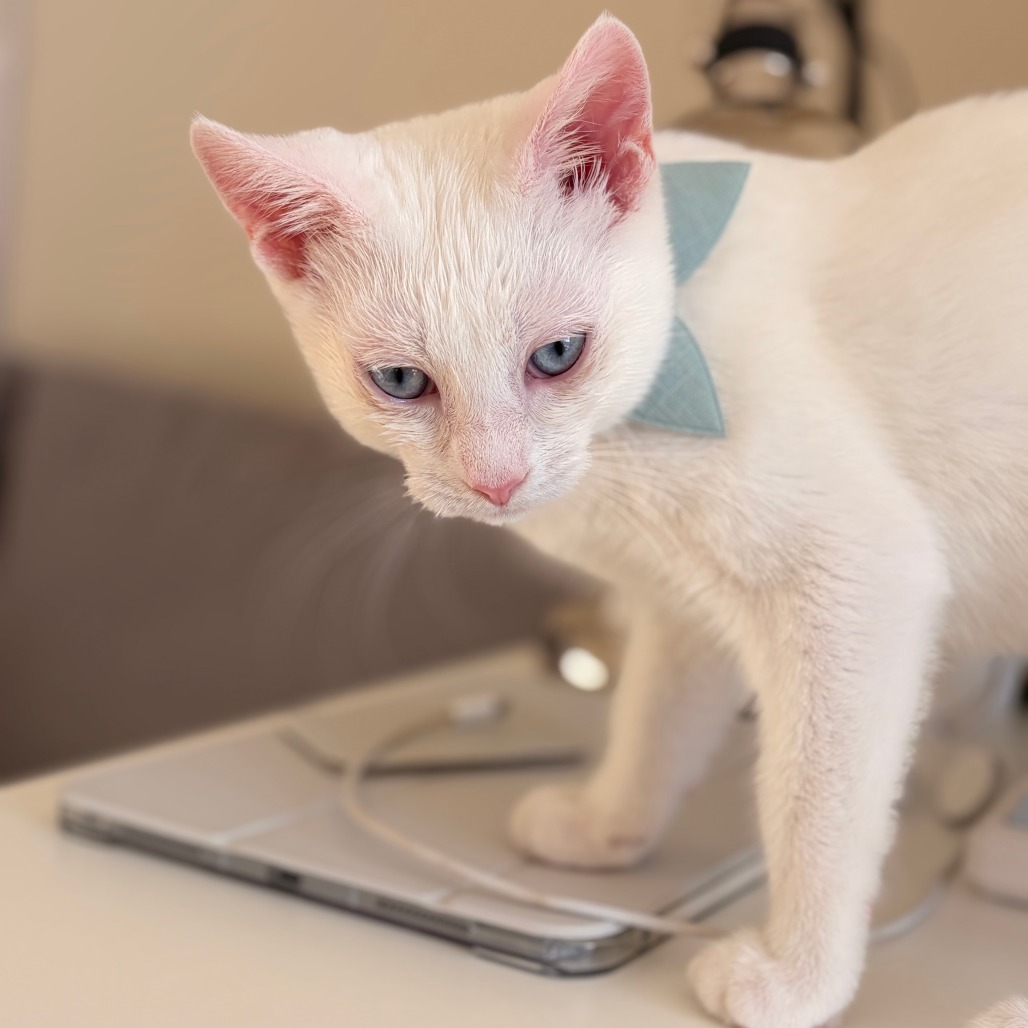 Charlotte & Babies - Ernest (Hemingway)