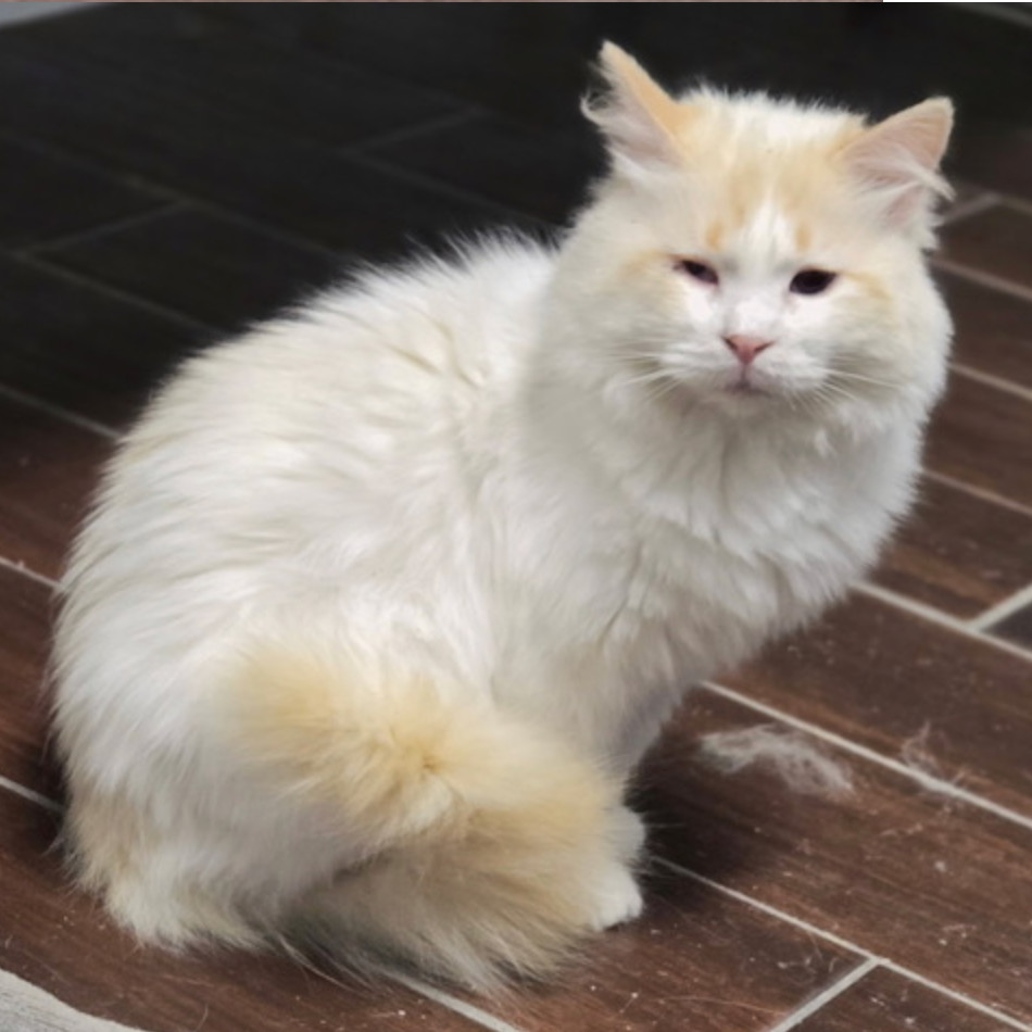 Spencer Tarkitty