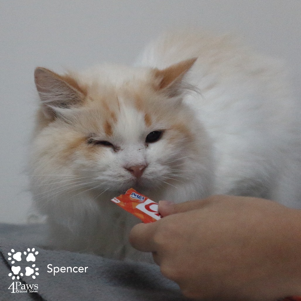Spencer Tarkitty