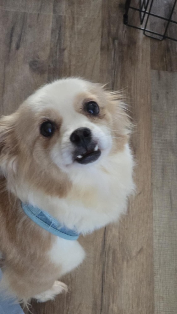 Peaches Jc thumbnail 3