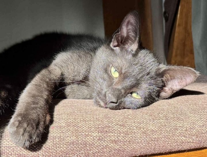 Venice bonded pair with Kingston 3