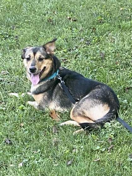 Chloe (bonded to Frank)