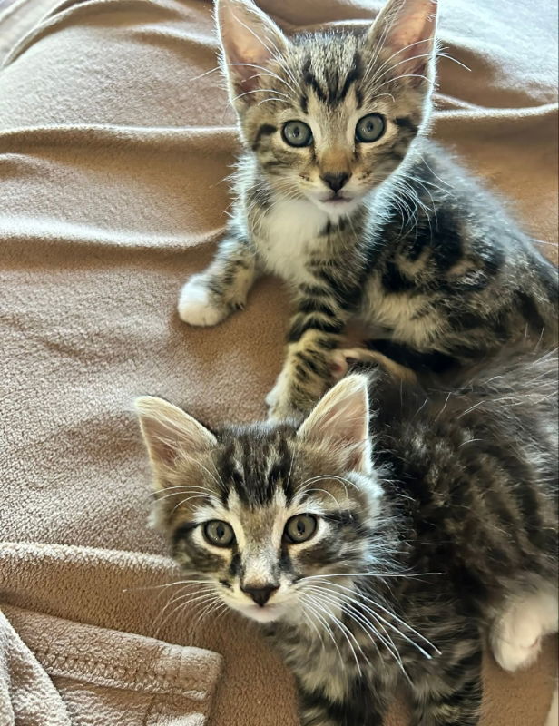Leo and Max