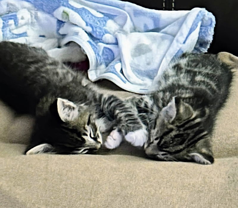 Leo and Max