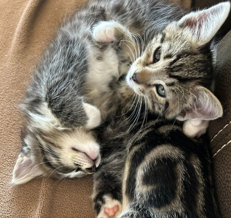 Leo and Max